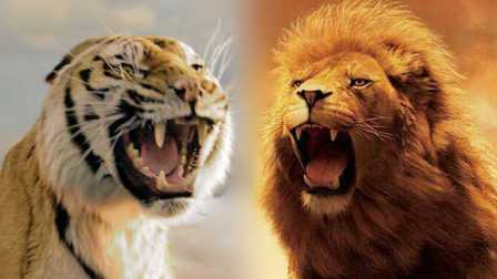 中国版狮子vs老虎电影的相关图片
